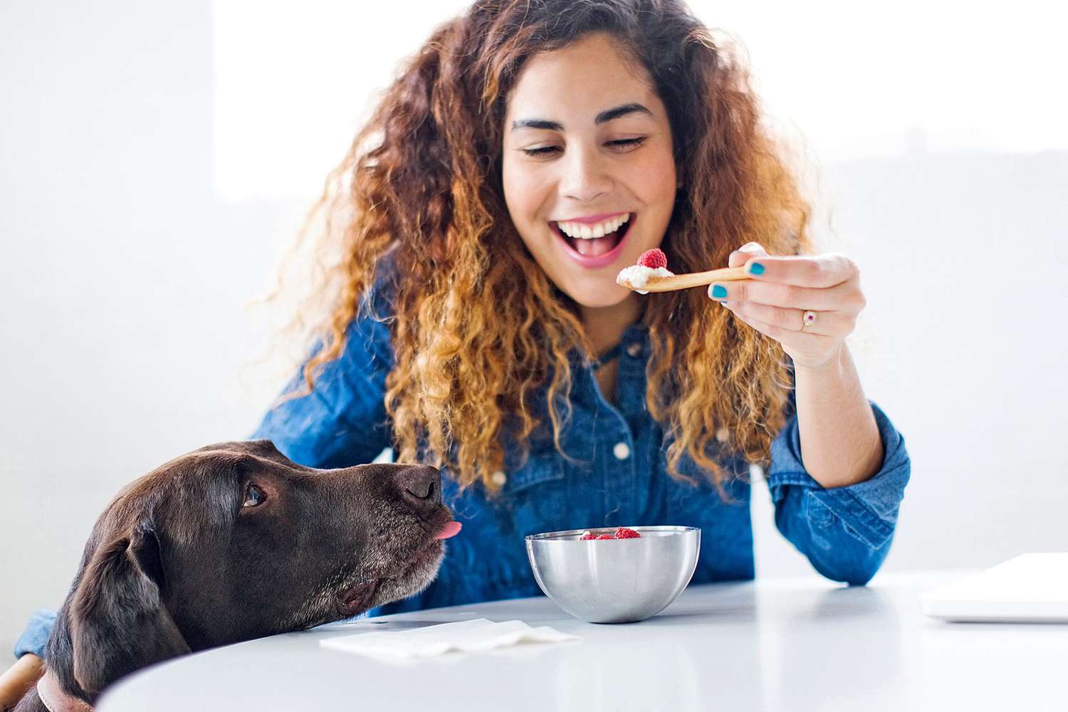 Can Dogs Eat Yogurt?