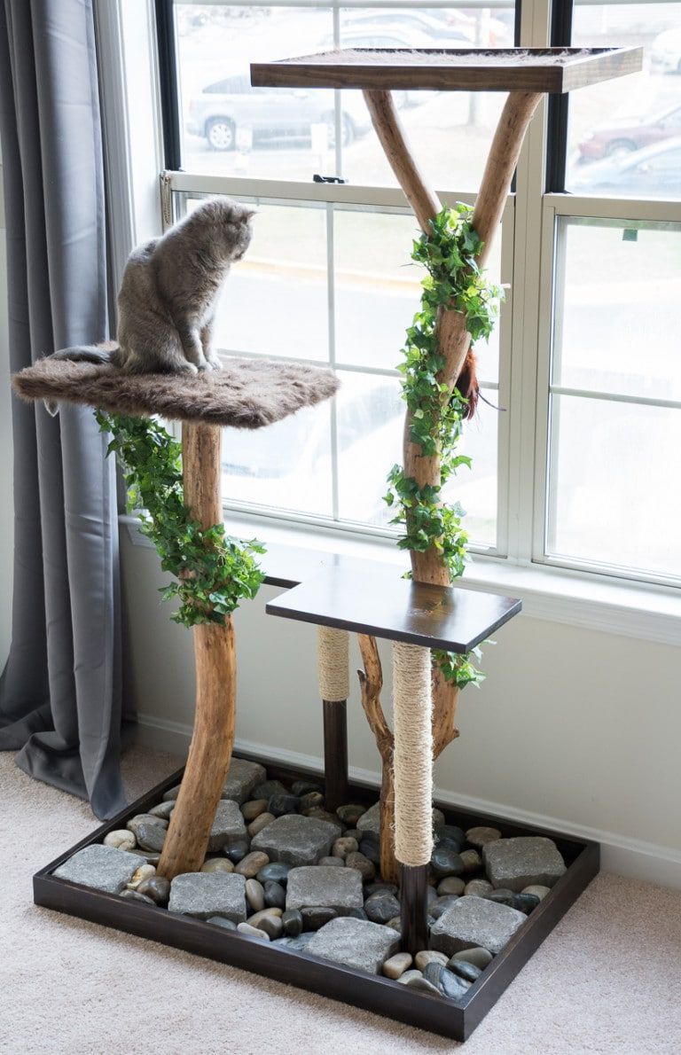 Build a Cat Tree With These 8 Free Plans