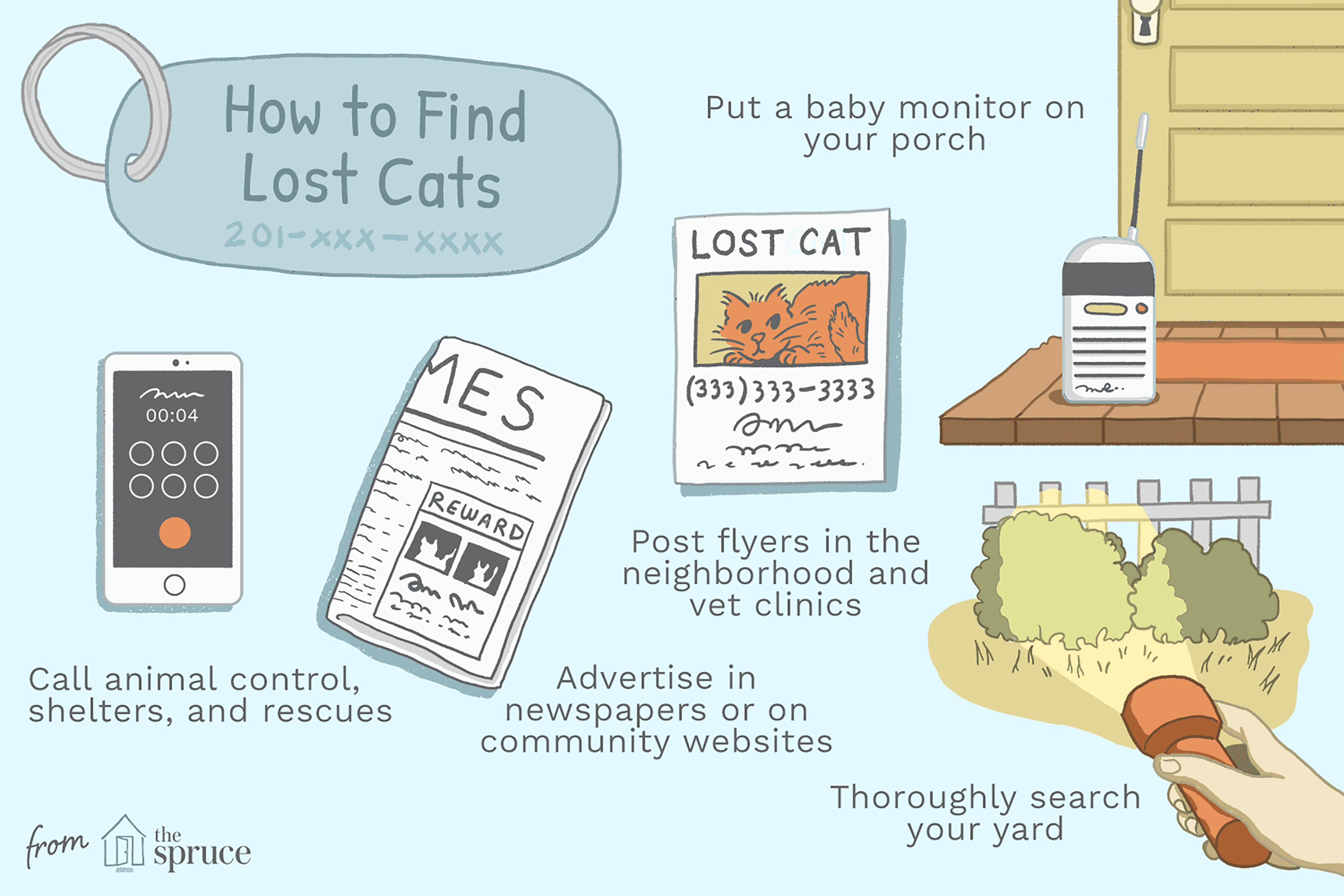 What to Do When Your Cat Runs Away