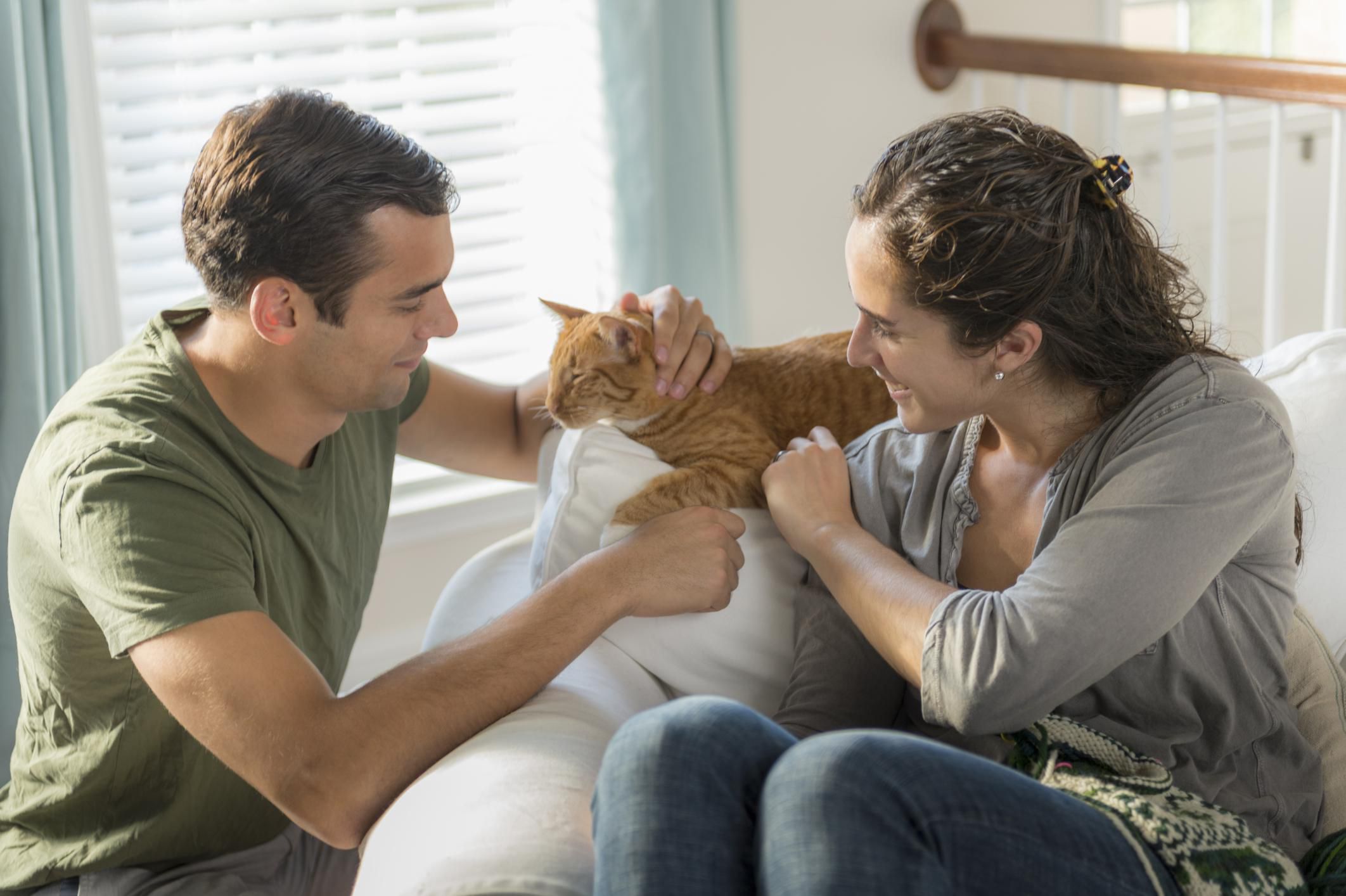 Everything You Need to Know About Raising Your First Cat