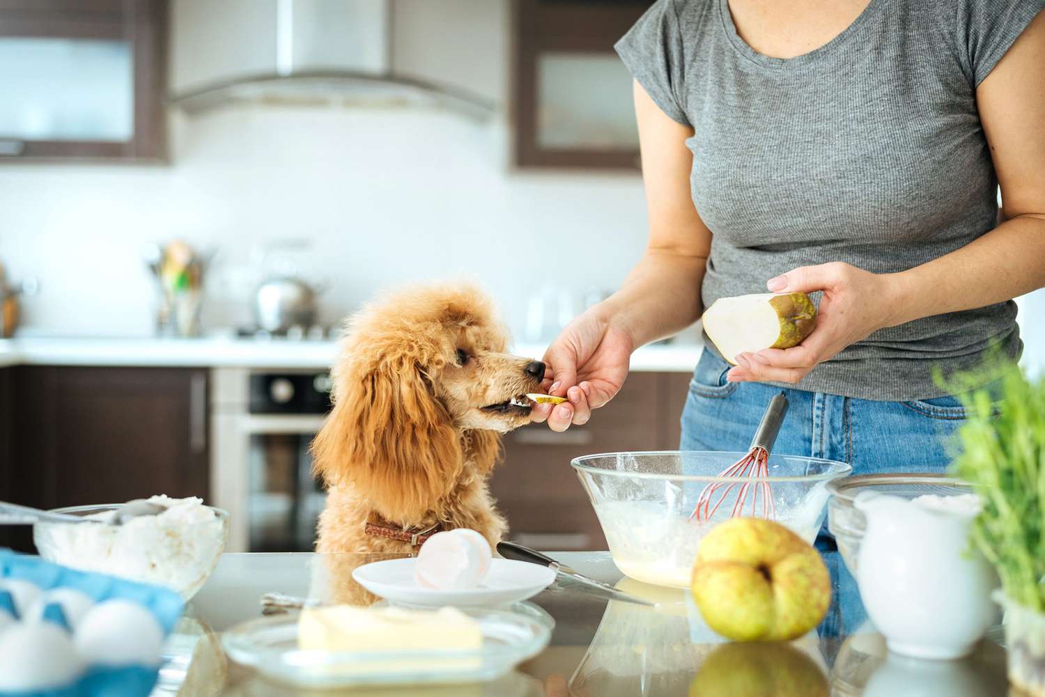 Are Pears Good for Dogs?