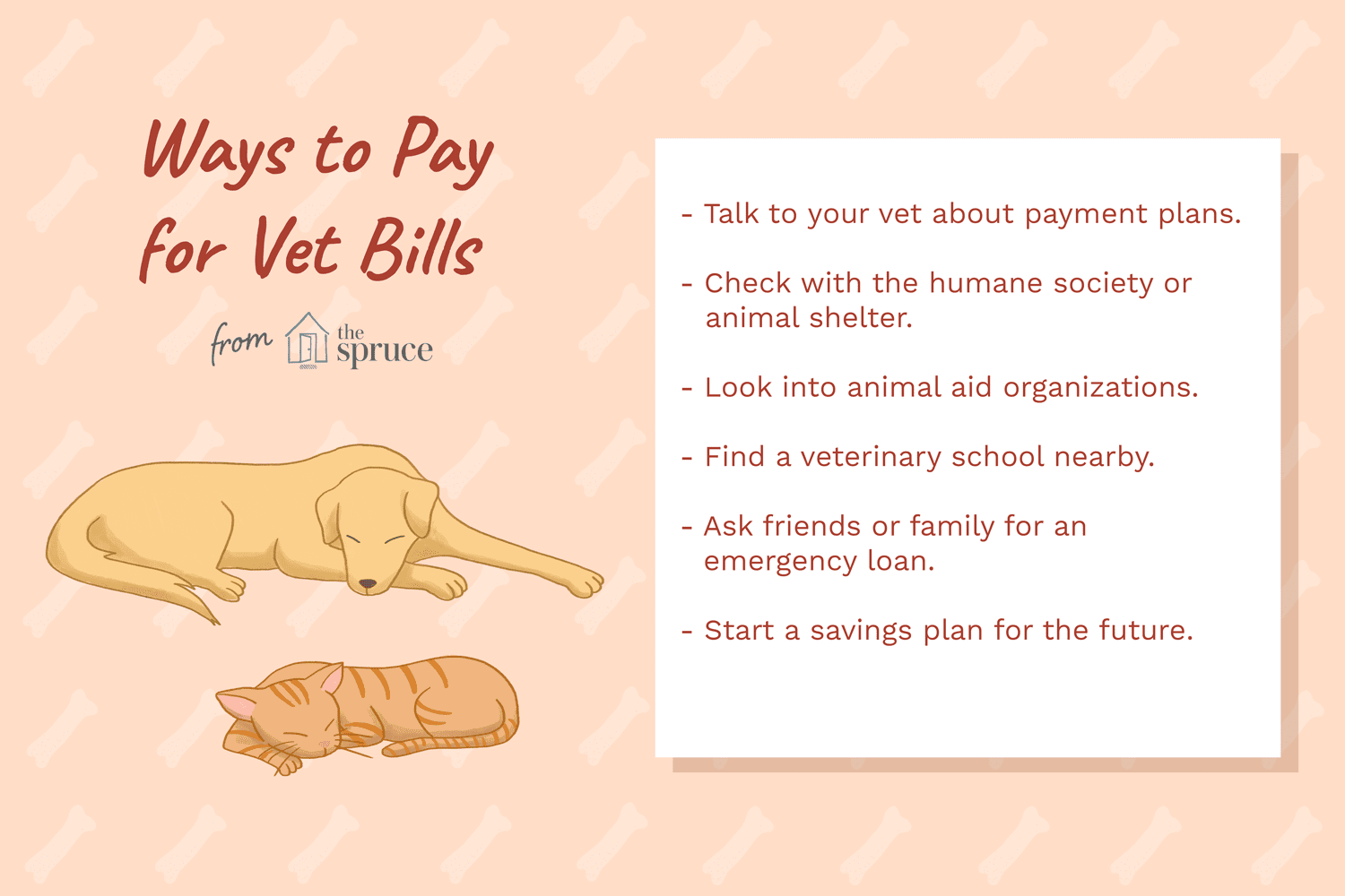 Have a Financial Plan When Your Pet is Sick