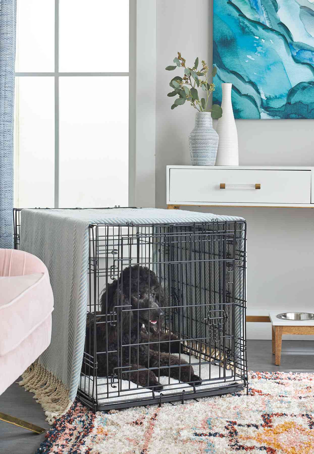 Need to coax your pet into the crate? Here’s an expert’s guide