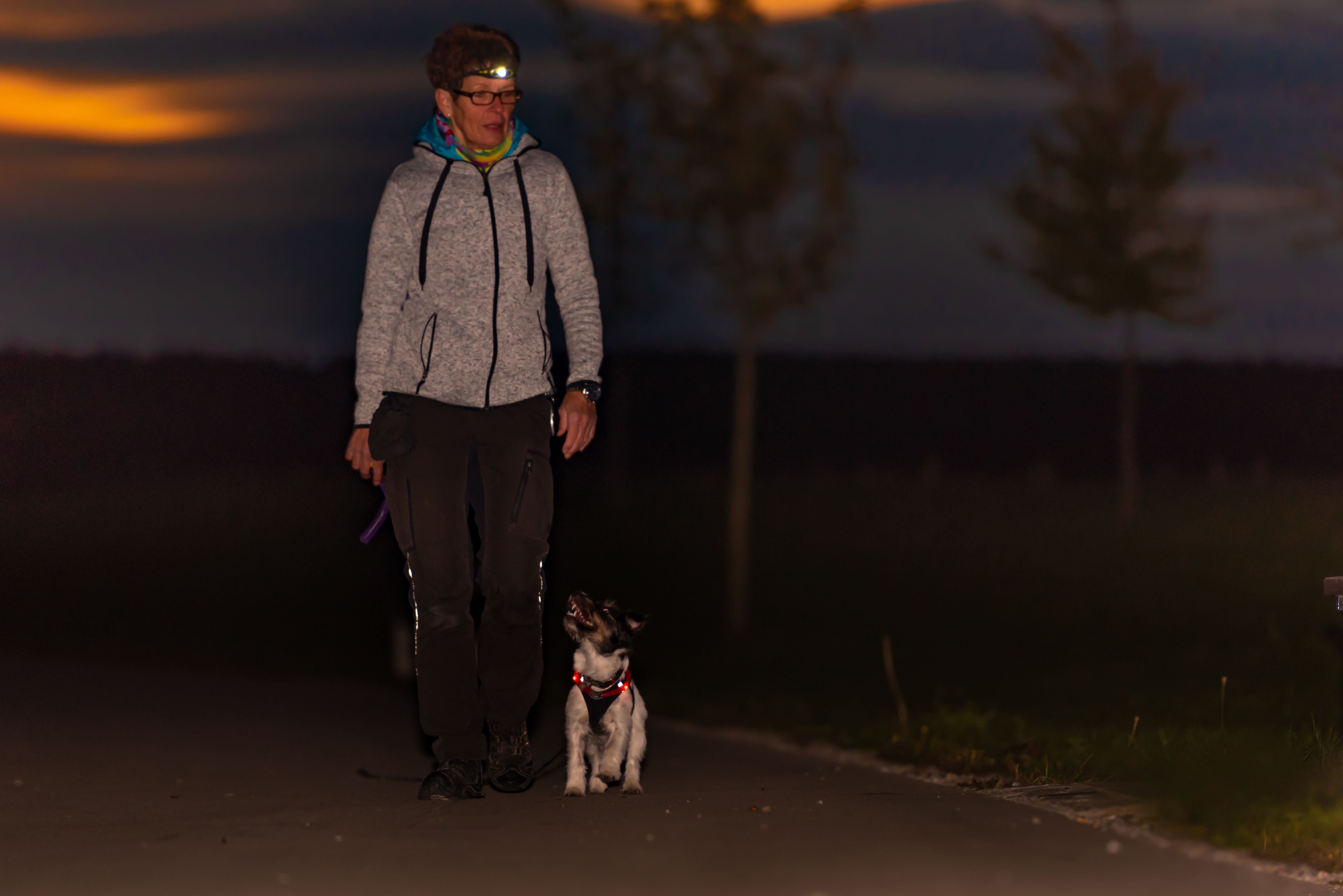 7 Helpful Ways to Keep Your Dog Safe on Dark Winter Walks