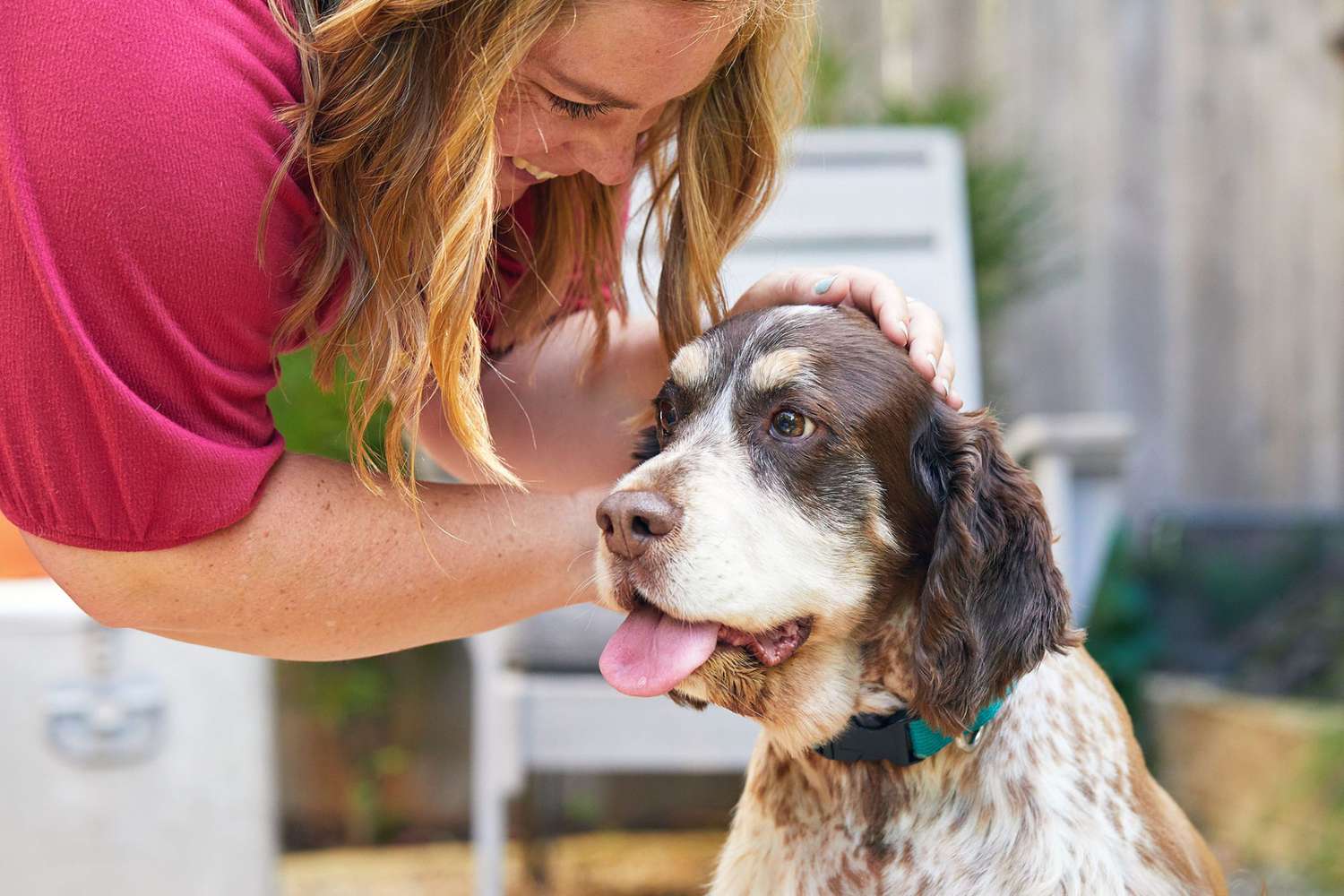 5 Steps to Potty Train an Older Dog, According to a Professional Dog Trainer