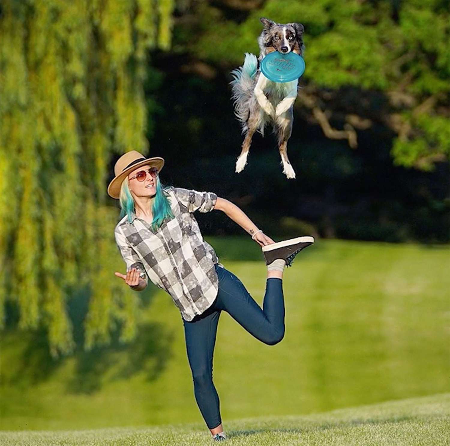 Meet the Super Collies, a Group of Adorable Dogs Who’ve Mastered Some Wow-Worthy Tricks