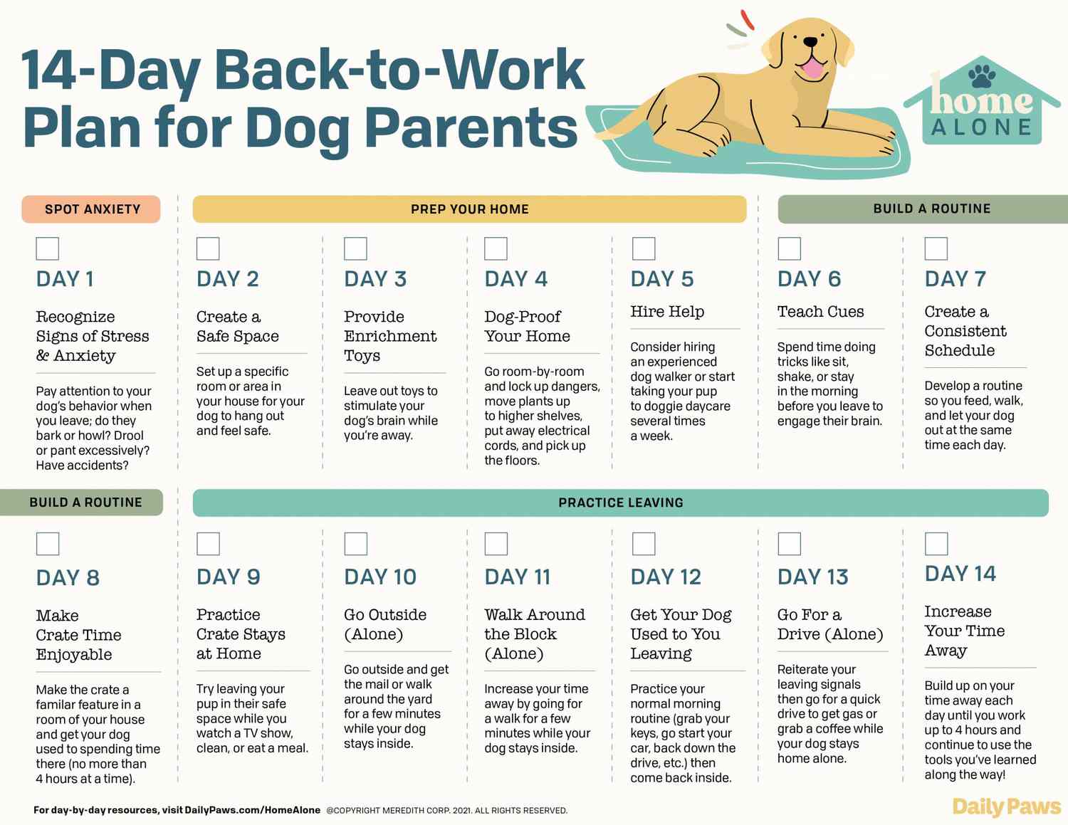 14-Day Post-Pandemic Plan to Ease Your Dog’s Anxiety When You Return to Work