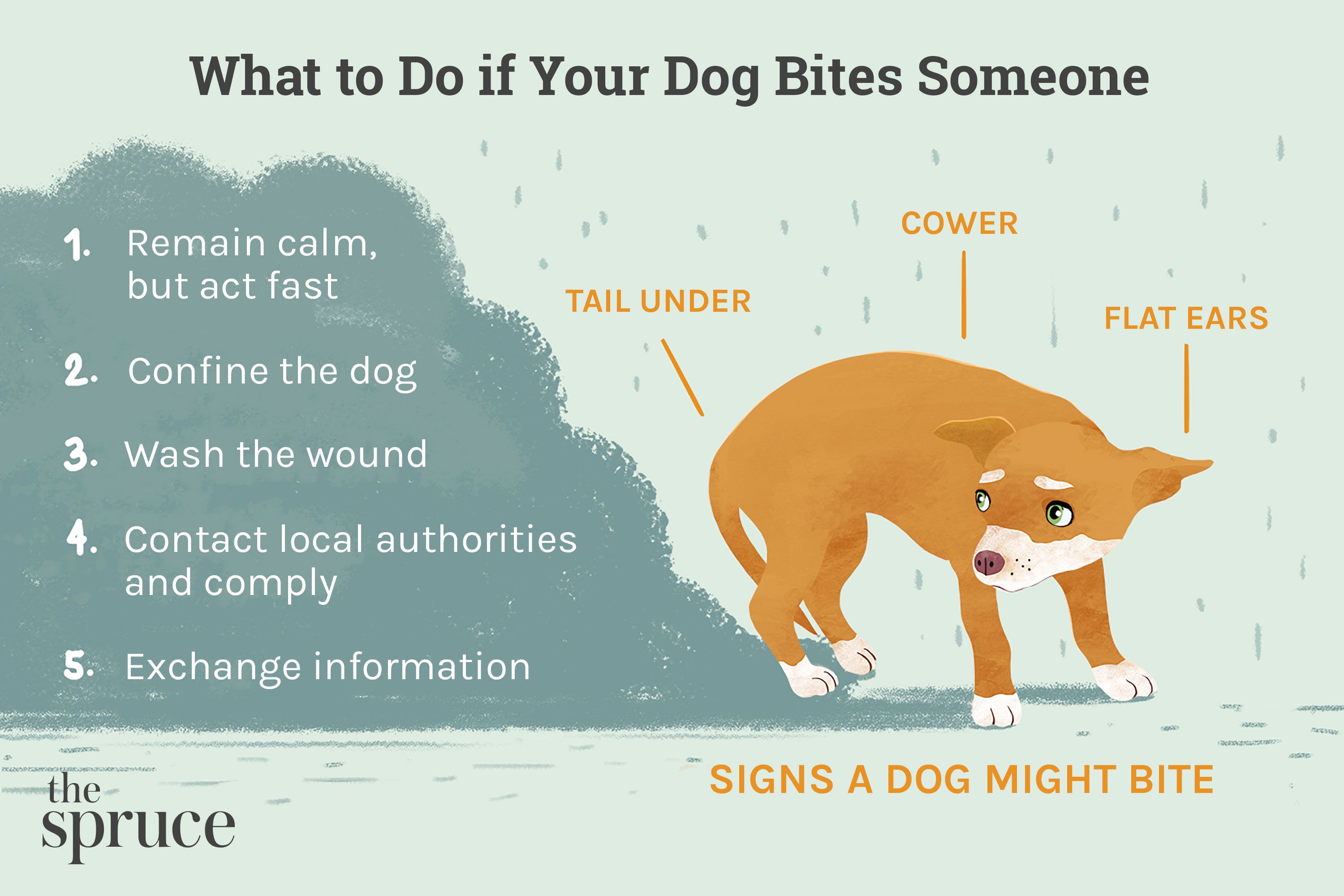 What Should You Do if Your Dog Bites Someone?