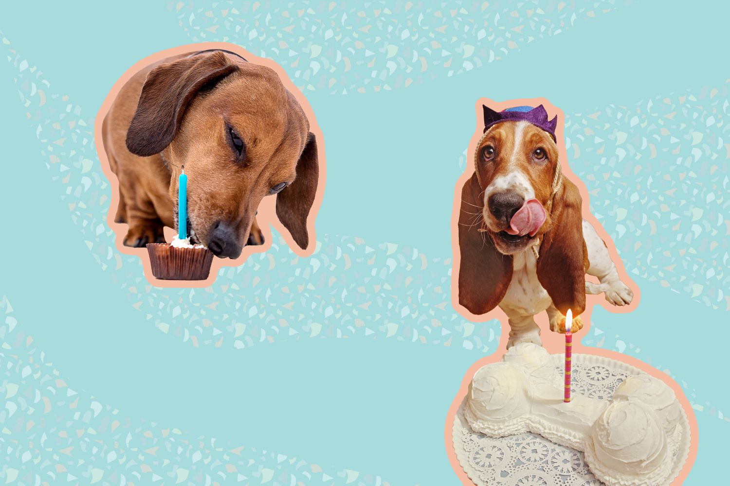 Best Dog Birthday Cake Delivery Services of 2023