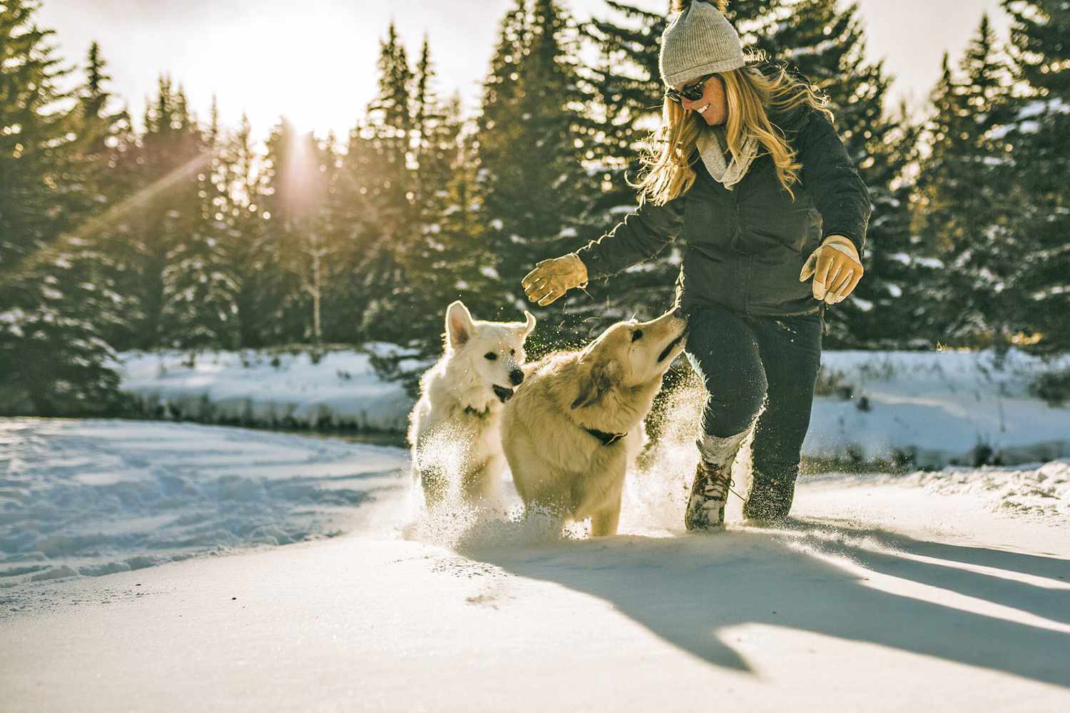 Why Do Dogs Love Snow? Because It’s Interesting