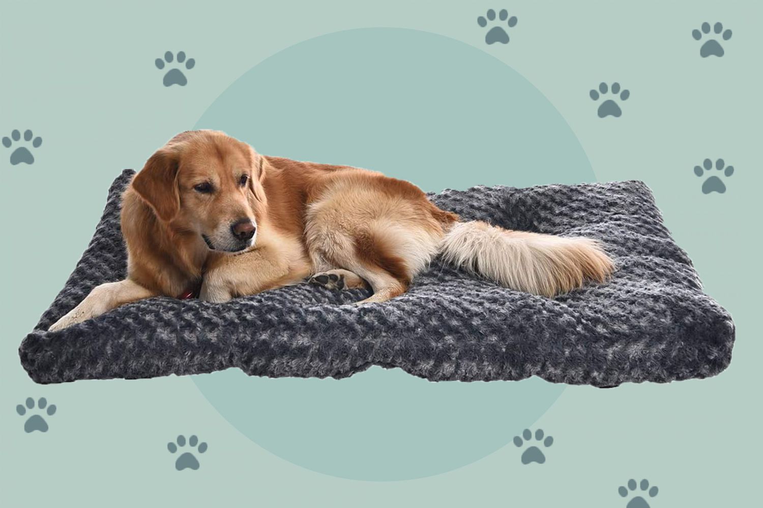 15 Dog Beds to Keep Any Kind of Pup Comfortable