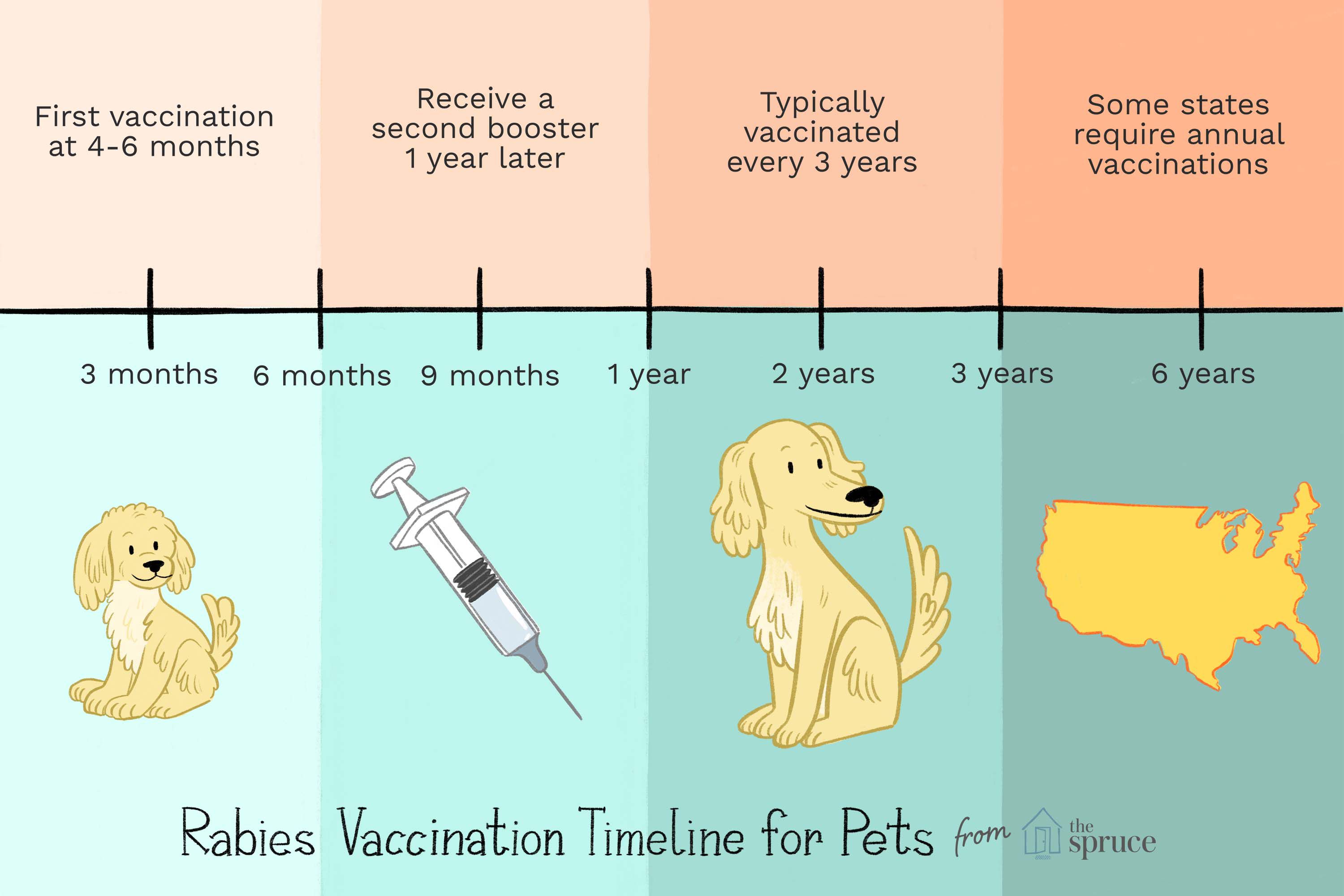 How Often Do You Have to Get Your Pet Vaccinated for Rabies?