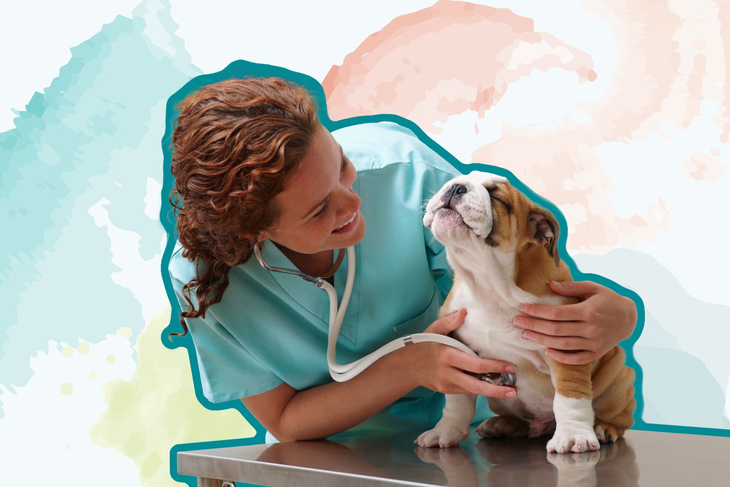 Best Online Veterinarians of 2023