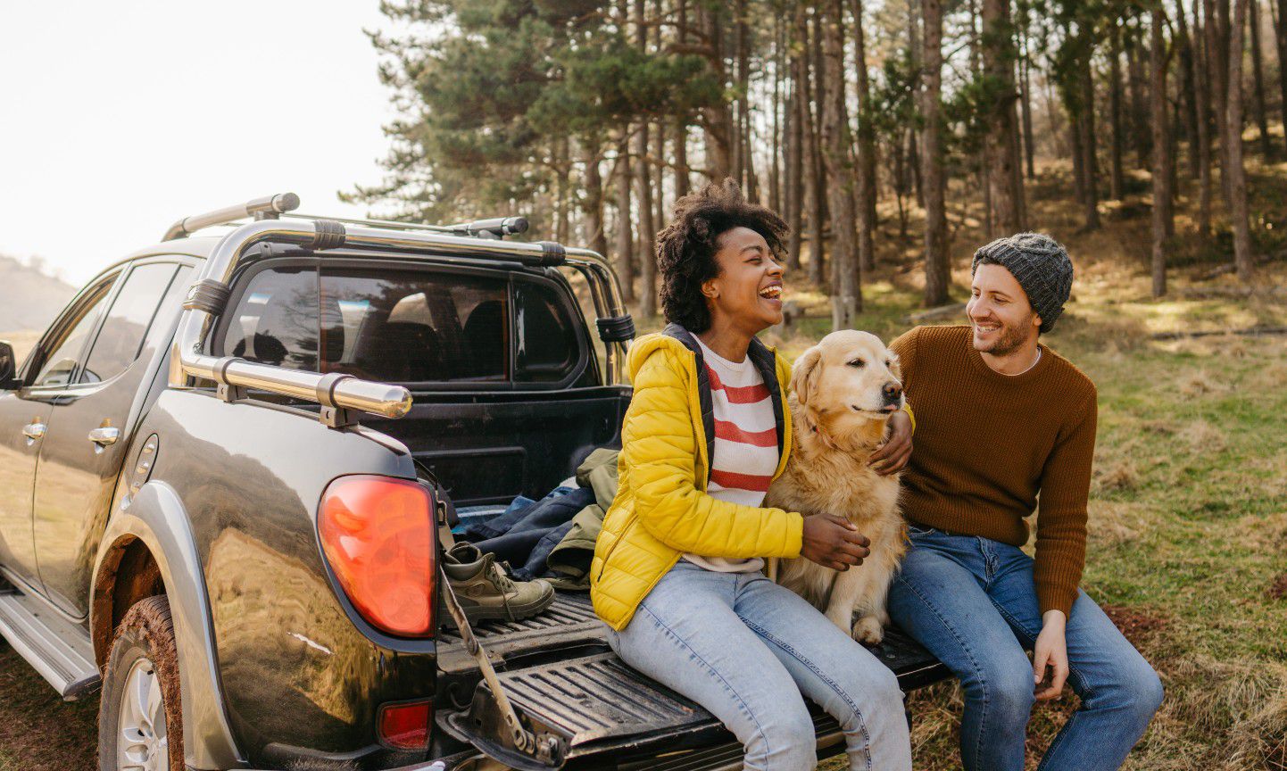 How to Hit the Road in Style With Your Pup