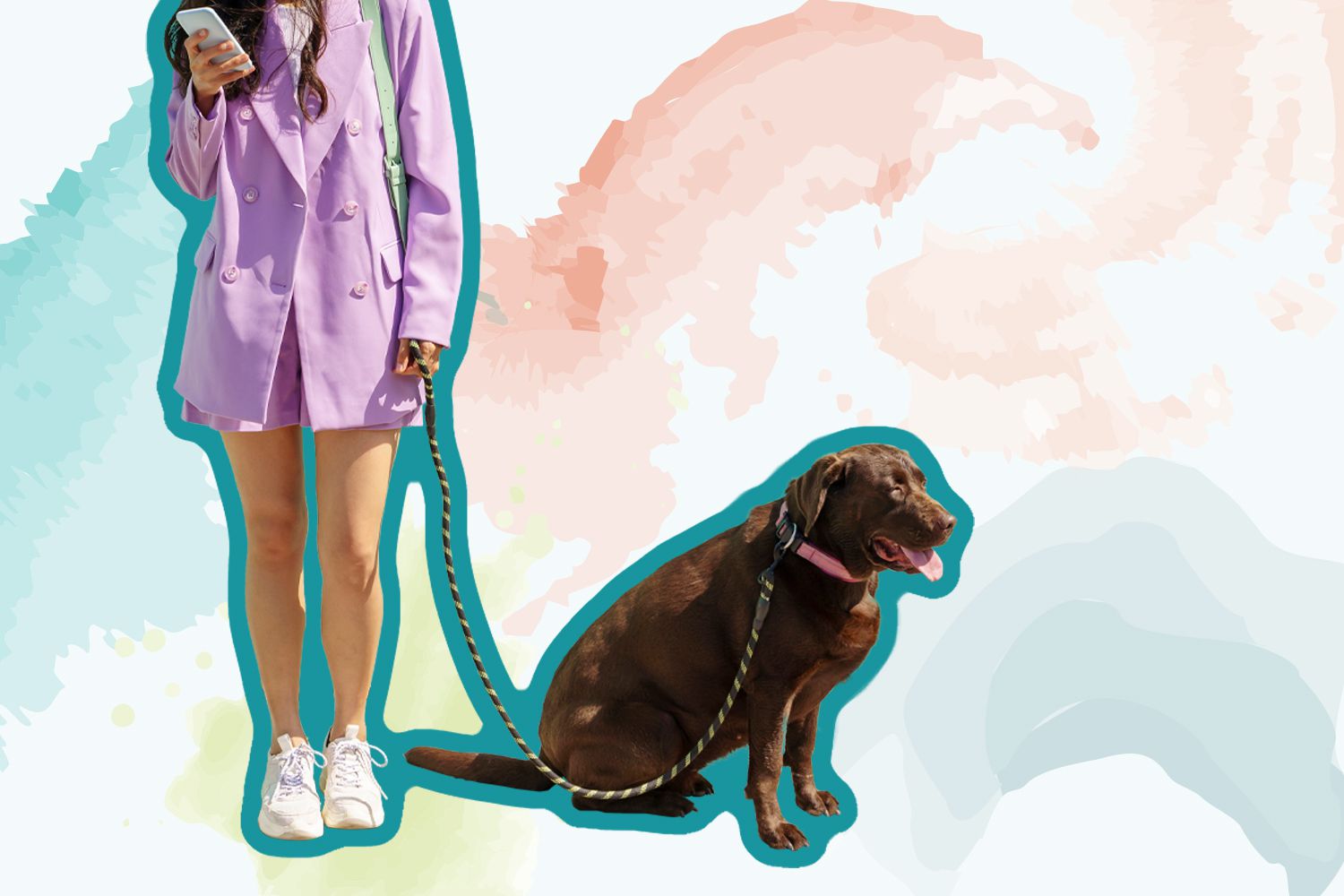 The 6 Best Dog Walking Services of 2023