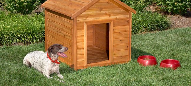 14 Free DIY Dog House Plans Anyone Can Build