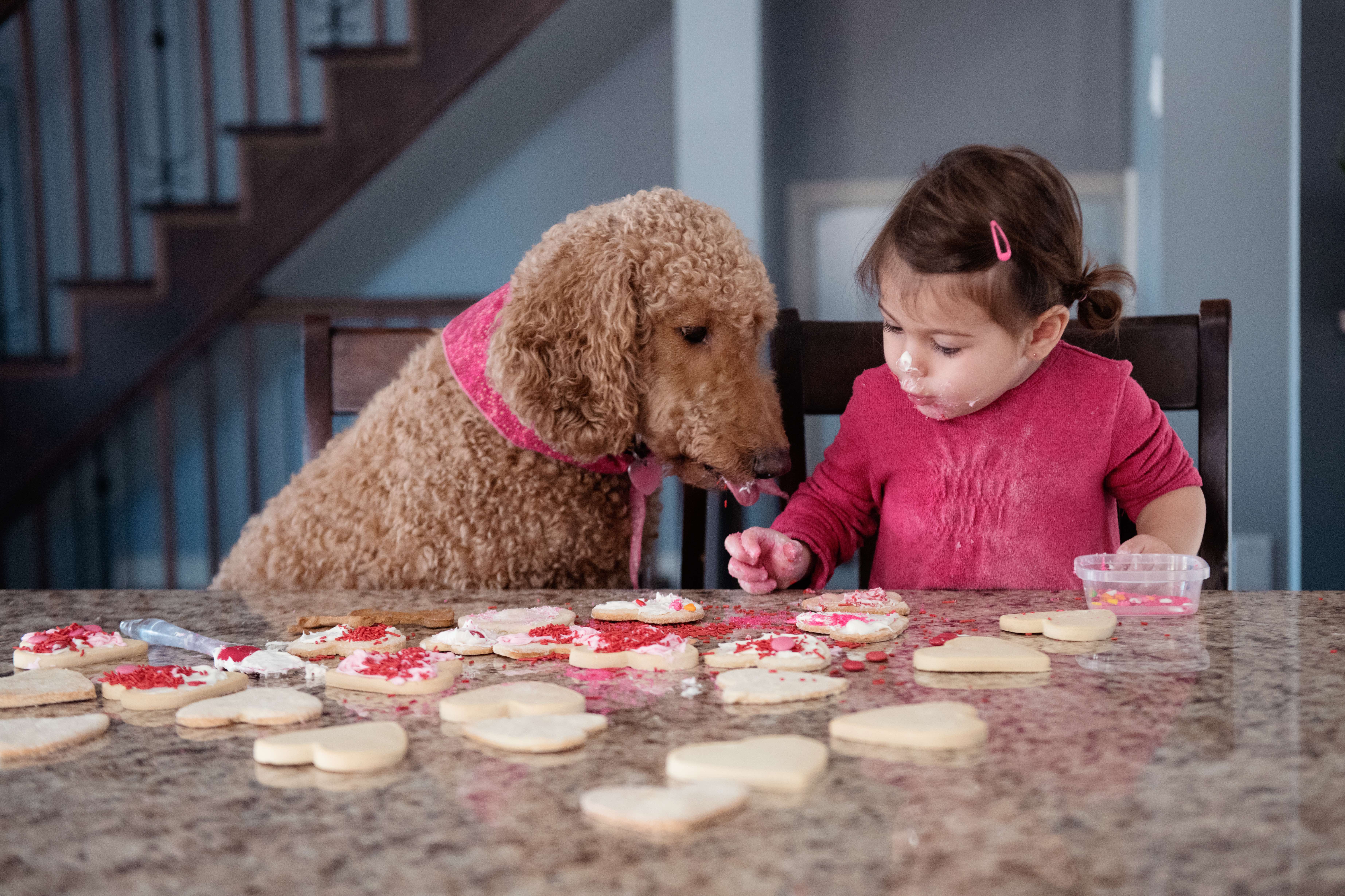 How to Show Your Pet Some Love This Valentine’s Day