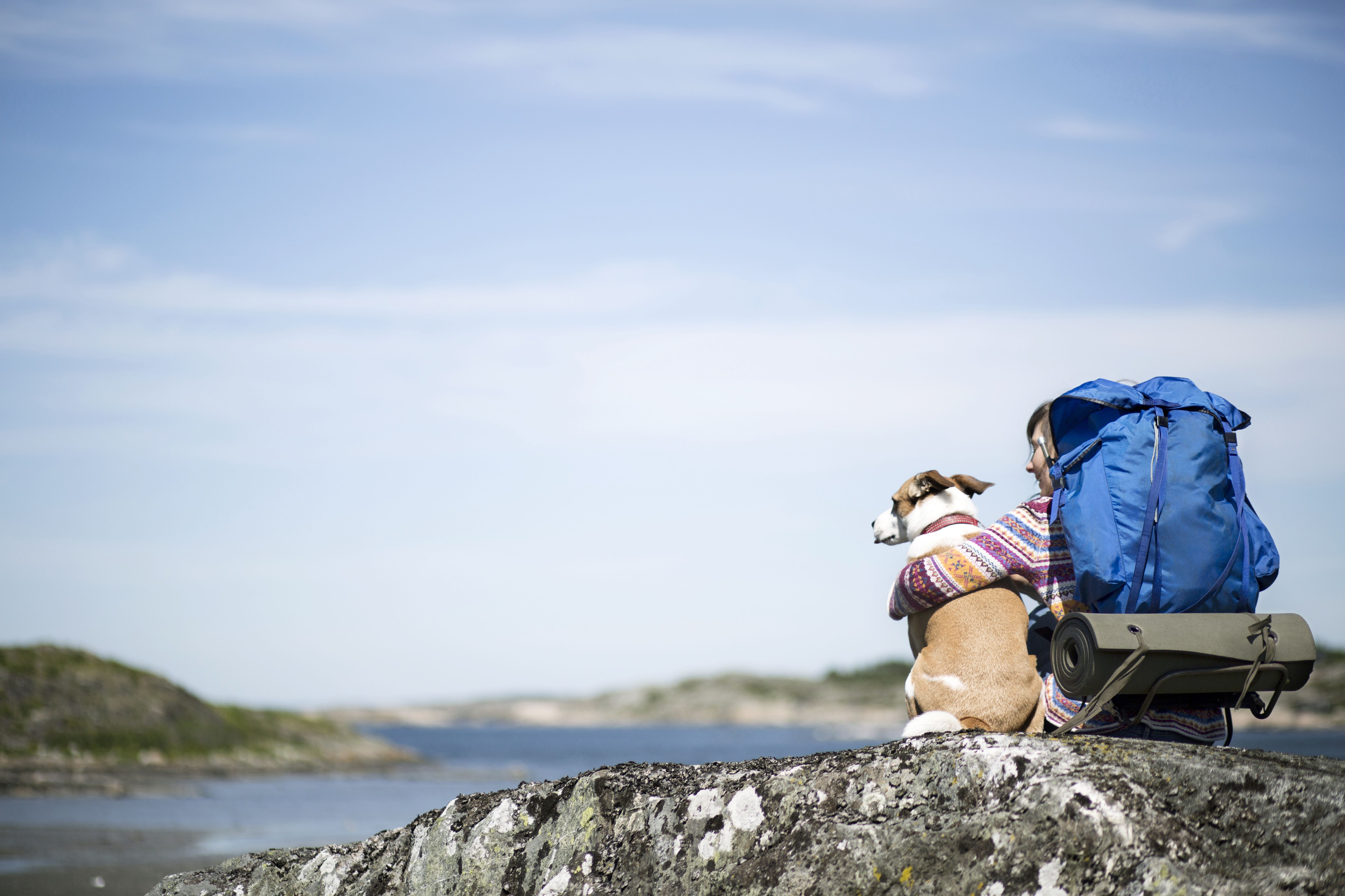 Understanding the Different Types of Pet-Friendly Campgrounds