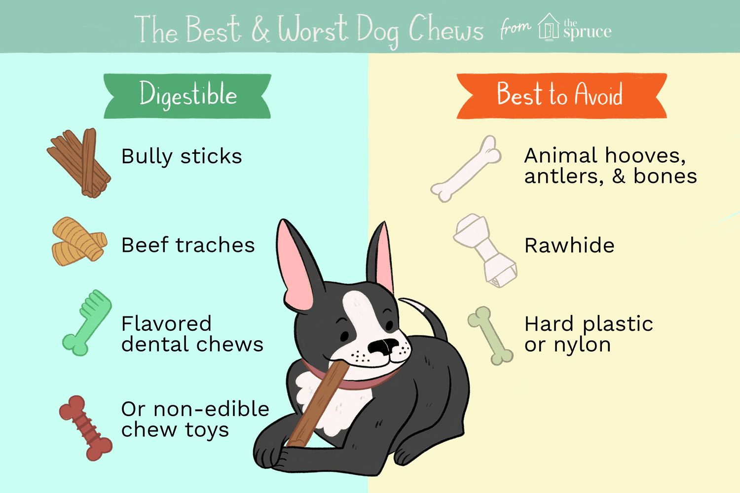 The Best and Worst Chews to Give Your Dog